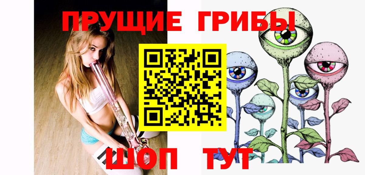Галлюциногенные грибы Psilocybe  что такое наркотик  Трёхгорный  Вход с VPN  Галлюциногенные грибы мицелий 